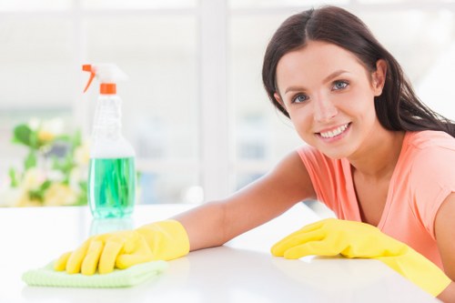 Deep upholstery cleaning for fabric sofas in SE18