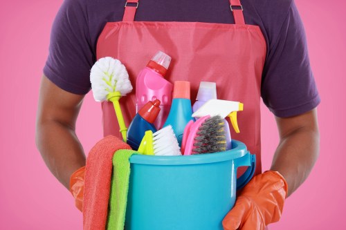 Professional cleaners working in a SE18 home interior