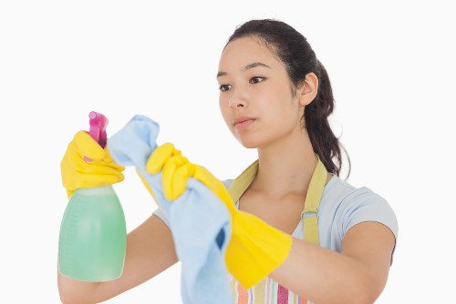 Customer raising a carpet cleaning complaint for review
