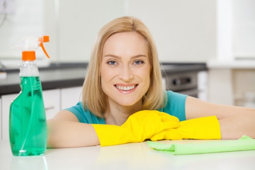 Regular house cleaning in a SE18 flat with floors and surfaces being maintained