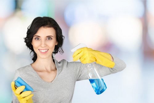Commercial cleaning support for businesses and offices in SE18