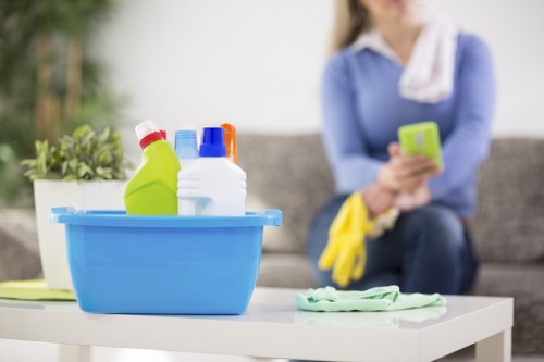 Deep carpet cleaning for worn and marked fibres
