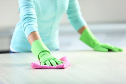 Deep cleaning upholstery in a Woolwich area living room