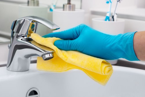 Professional carpet cleaning equipment in a SE18 property