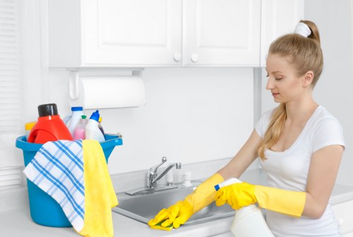 Regular home cleaning checklist for SE18 customers
